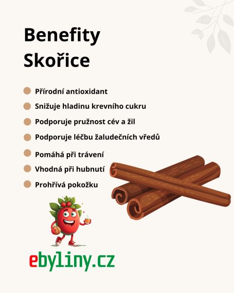 Benefity Skořice web
